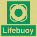 lifebuoy-with-symbol~